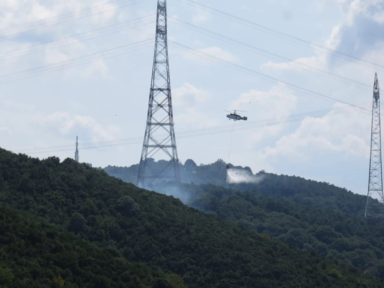Beykoz'da ormanlık alanda yangın